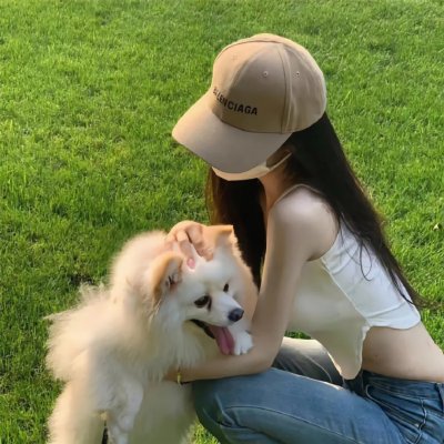 公猫